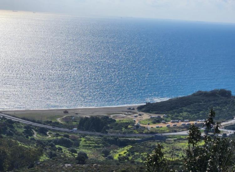 Fincas y solares-Venta-San Roque-2444116-Foto-11