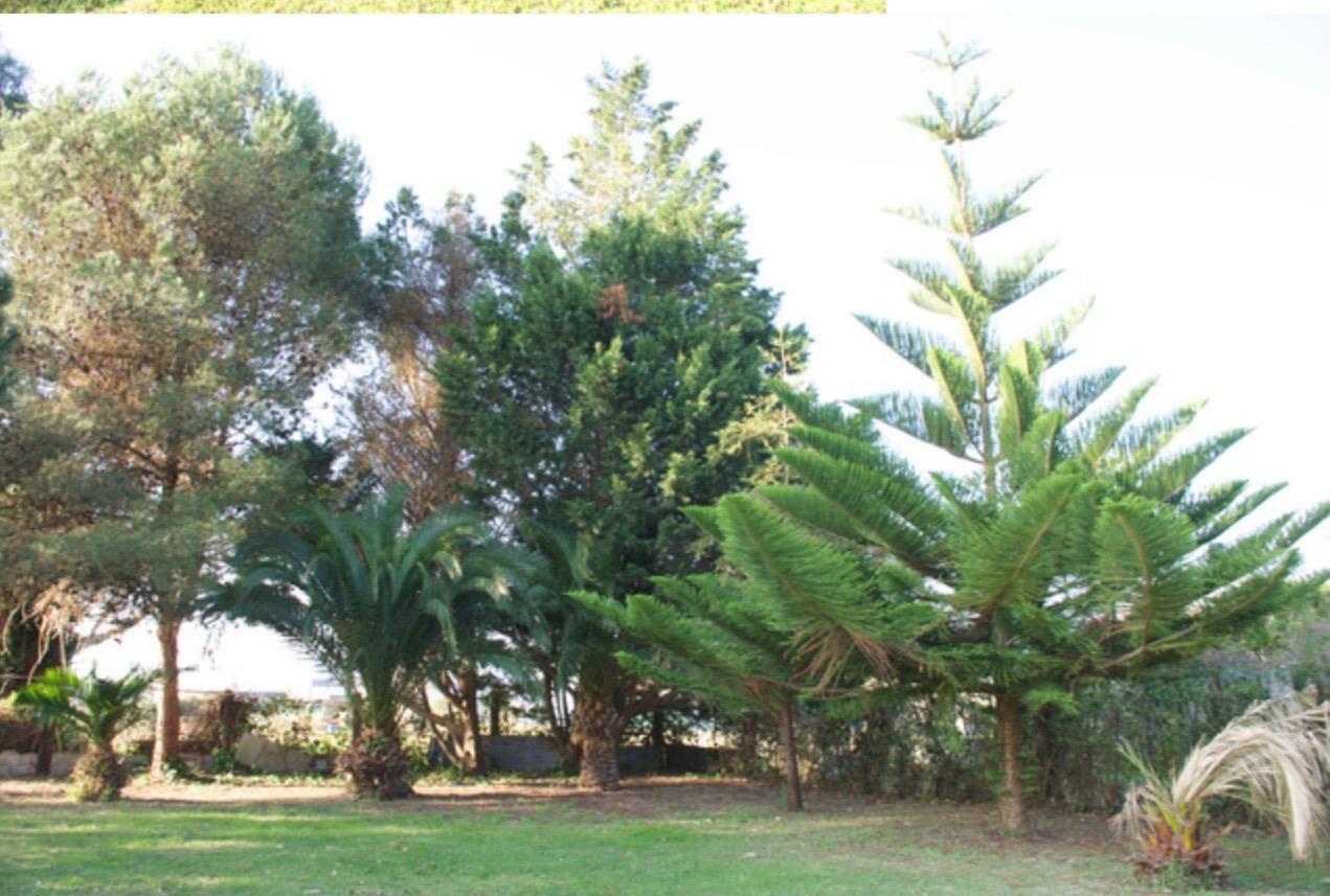 Fincas y solares-Venta-Laredo-2444137-Foto-4
