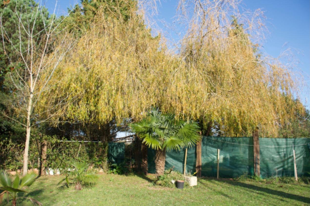 Fincas y solares-Venta-Laredo-2444137-Foto-6