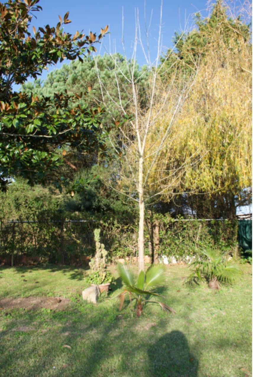 Fincas y solares-Venta-Laredo-2444137-Foto-10