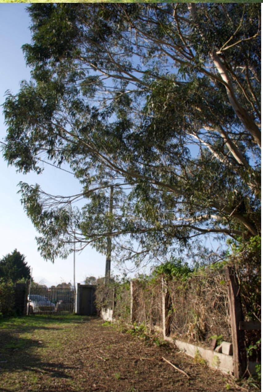 Fincas y solares-Venta-Laredo-2444137-Foto-12