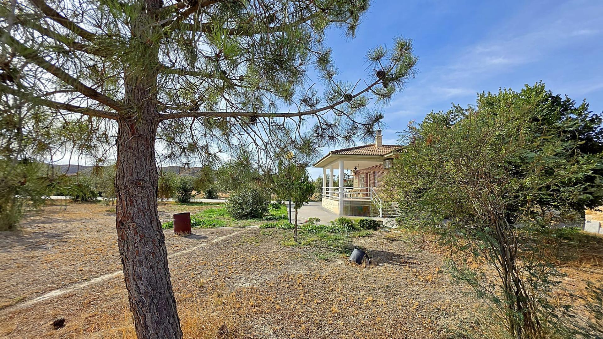 Casas o chalets-Venta-El Burgo de Ebro-2444401-Foto-11
