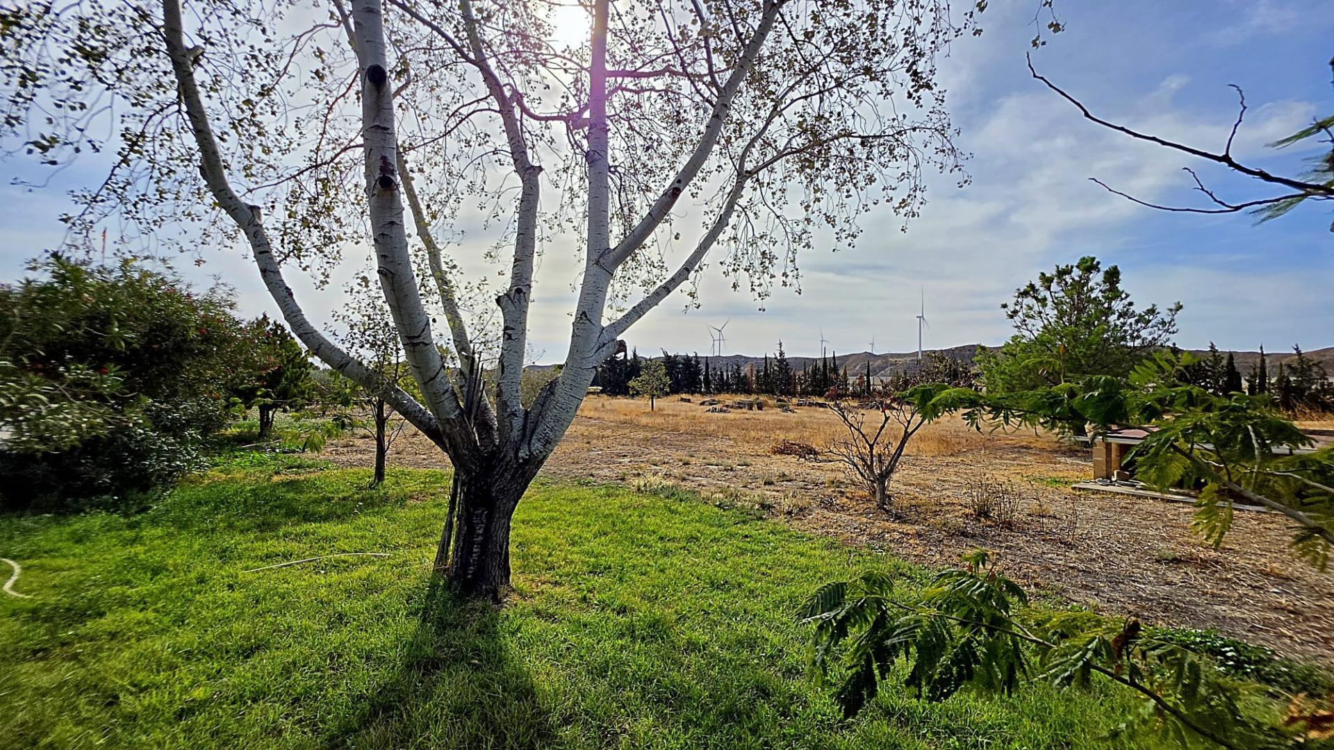 Casas o chalets-Venta-El Burgo de Ebro-2444401-Foto-64