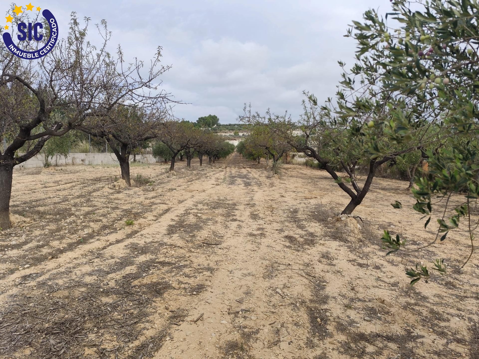 Casas o chalets-Venta-Mogente-2427234-Foto-21