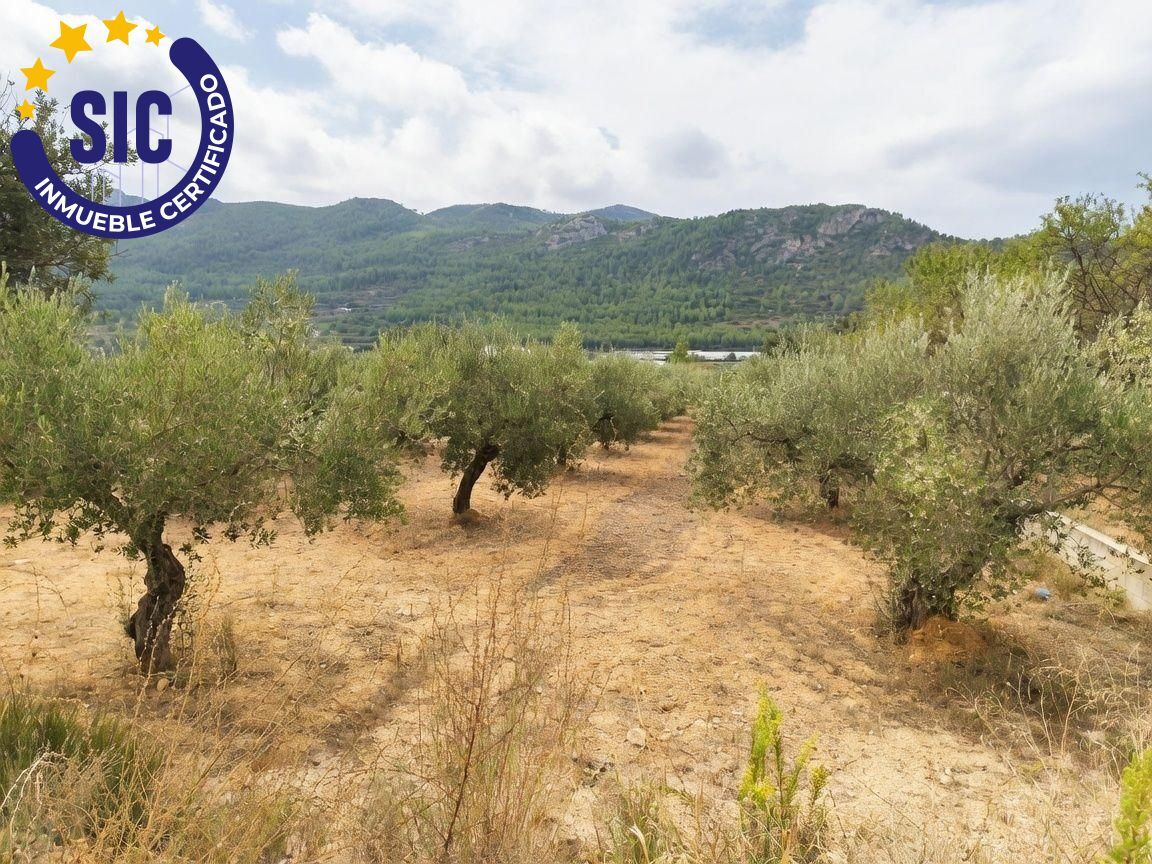Casas o chalets-Venta-Mogente-2427234-Foto-22
