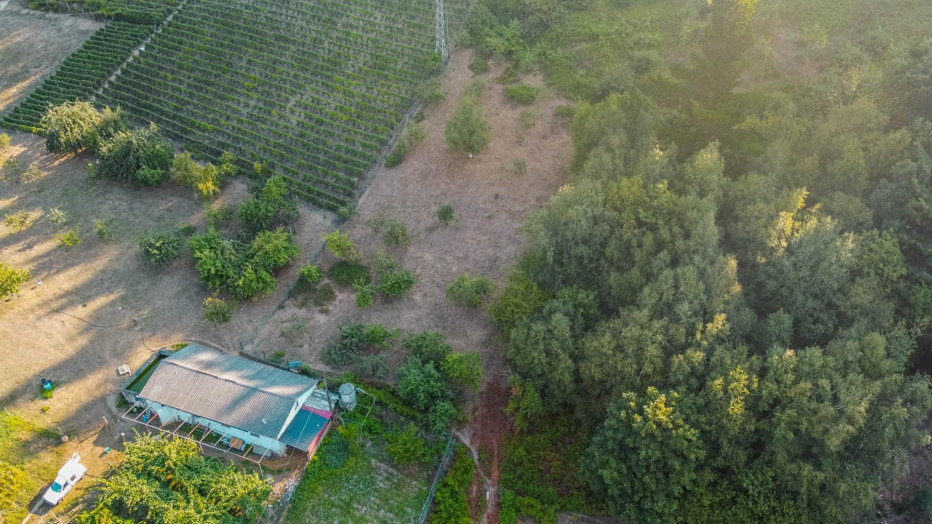 Fincas y solares-Venta-Cangas del Narcea-2443472-Foto-9