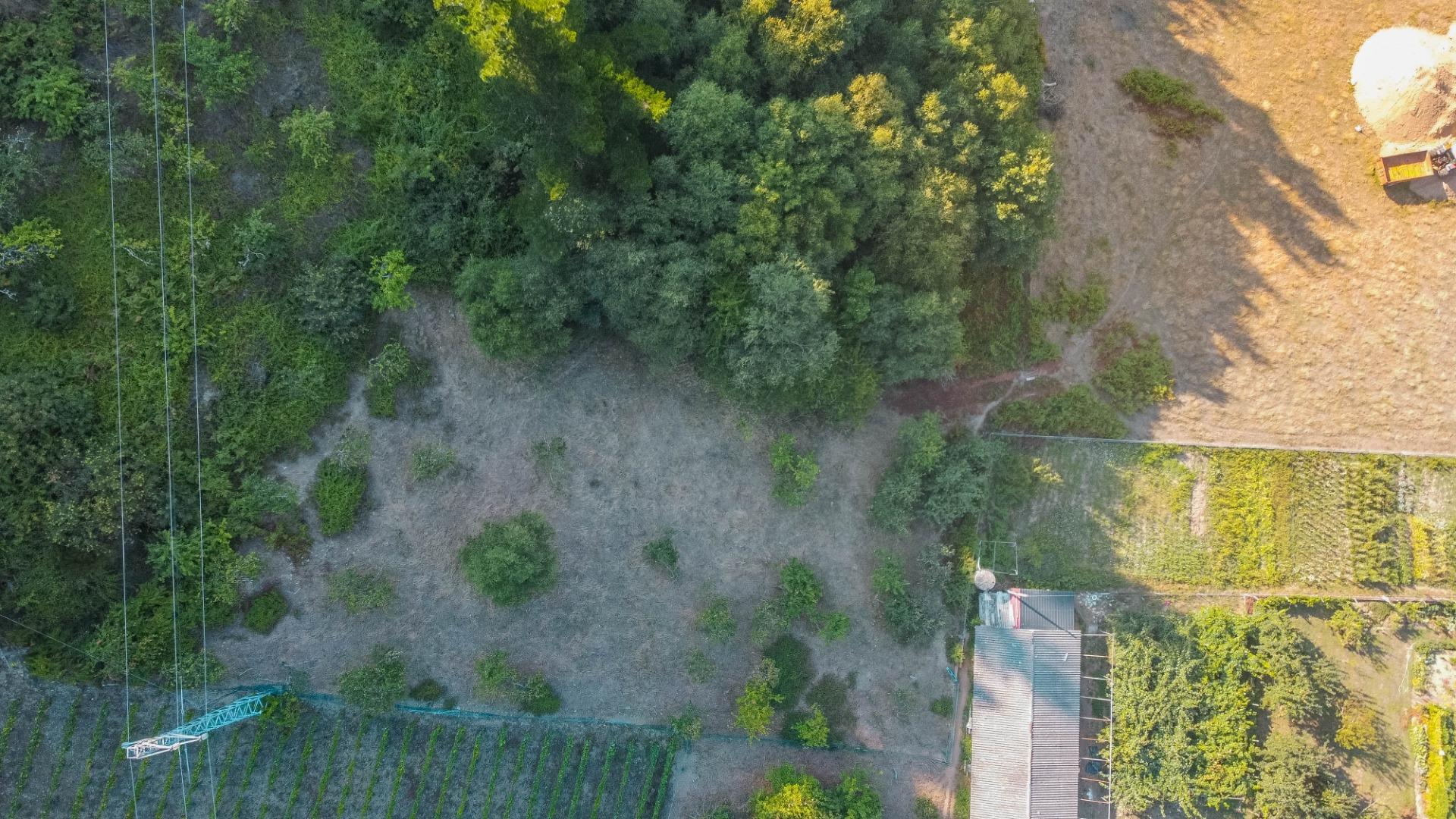 Fincas y solares-Venta-Cangas del Narcea-2443472-Foto-19