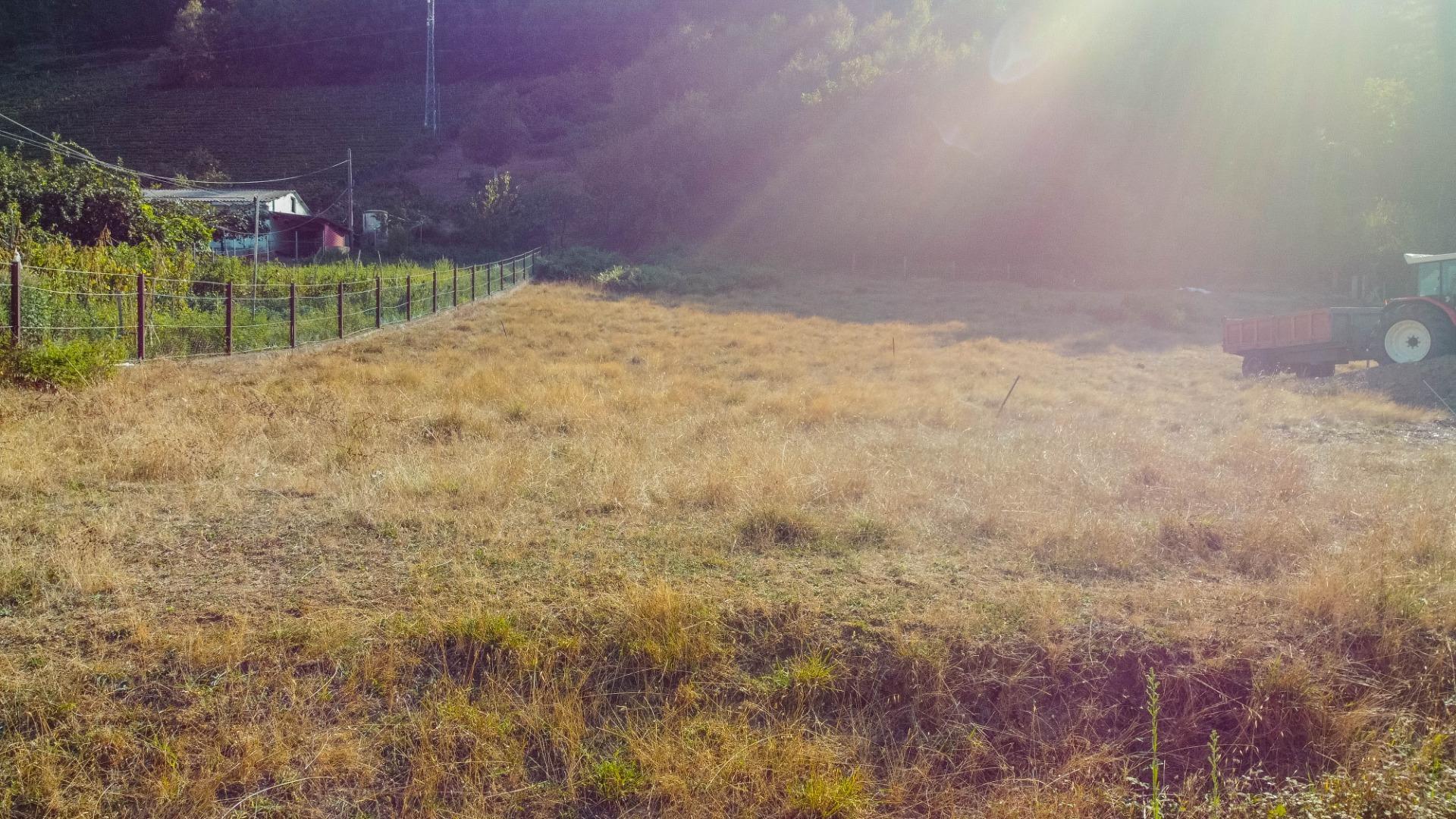 Fincas y solares-Venta-Cangas del Narcea-2443472-Foto-24