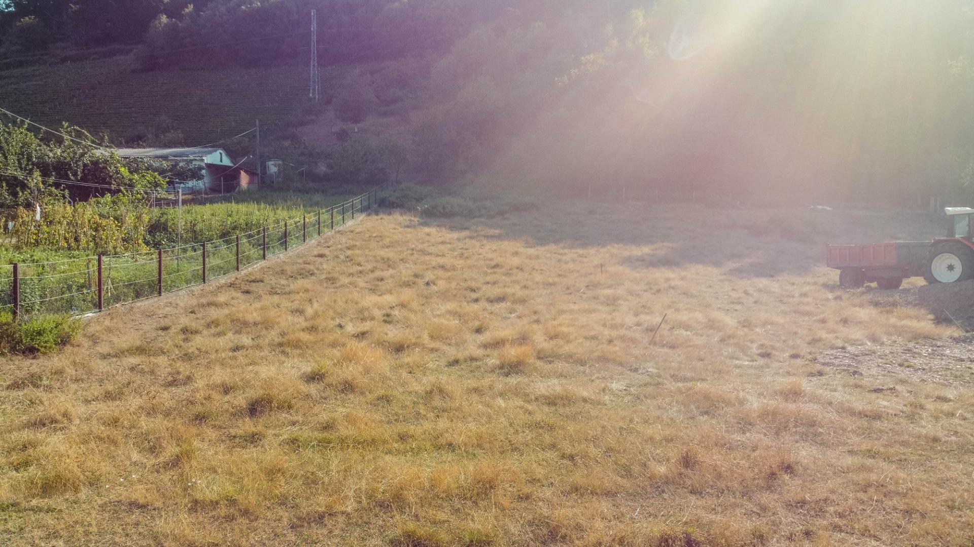 Fincas y solares-Venta-Cangas del Narcea-2443472-Foto-29