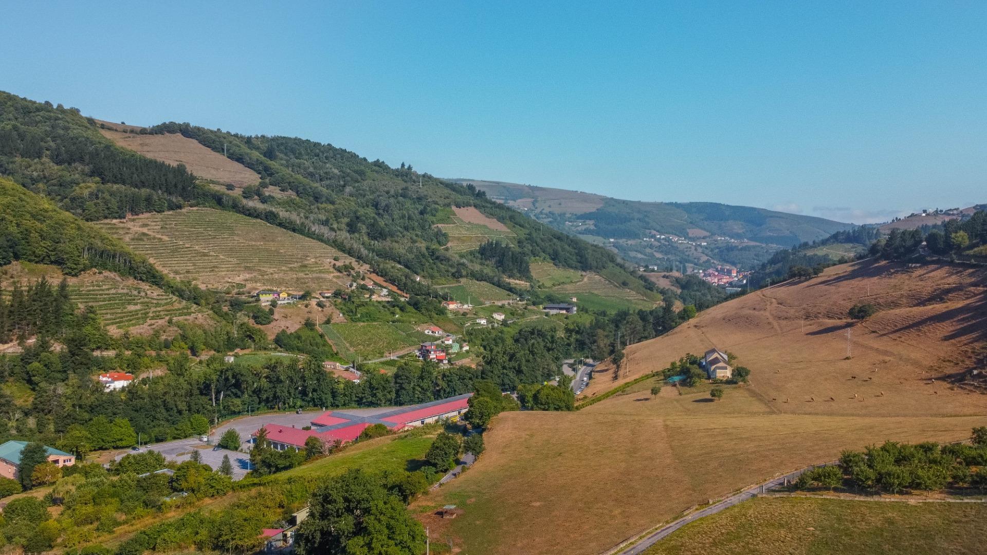 Fincas y solares-Venta-Cangas del Narcea-2443472-Foto-36