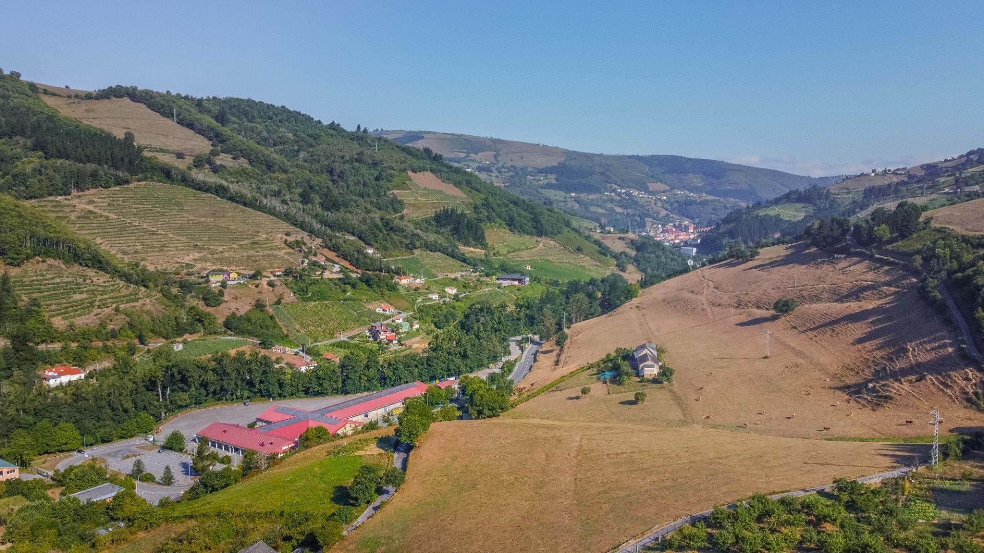 Fincas y solares-Venta-Cangas del Narcea-2443472-Foto-38