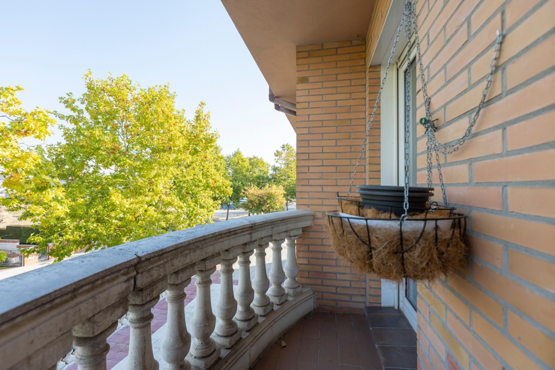Casas o chalets-Venta-Valladolid-2444410-Foto-29