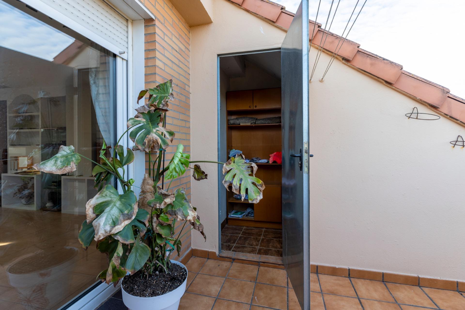 Casas o chalets-Venta-Valladolid-2444410-Foto-51