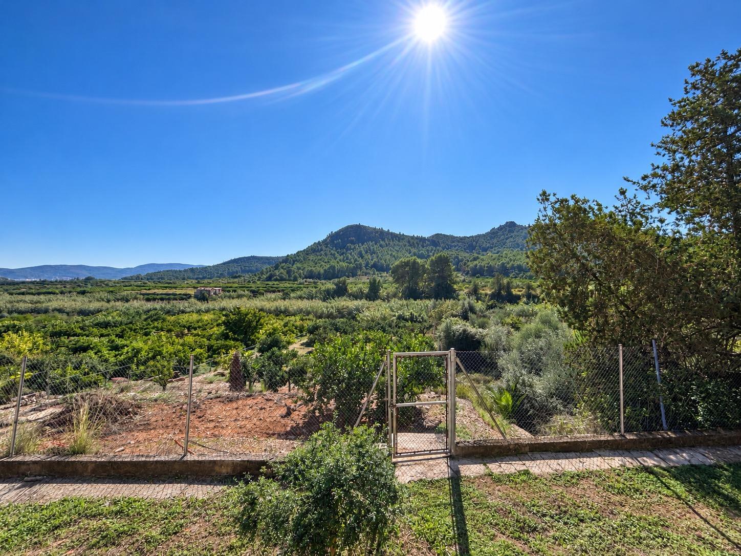 Casas o chalets-Venta-RÃ³tova-2444437-Foto-20