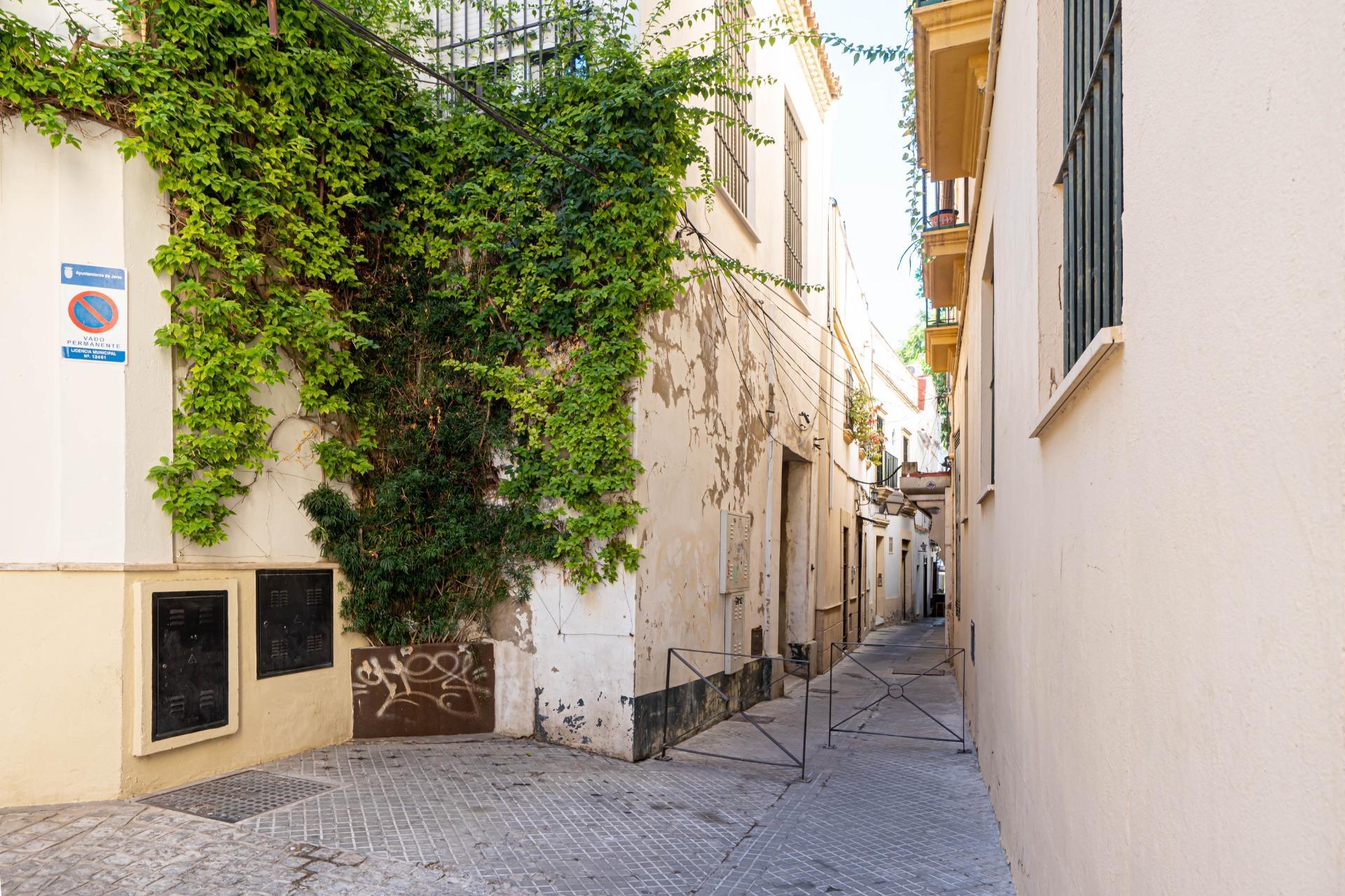 Pisos-Venta-Jerez de la Frontera-2443475-Foto-4