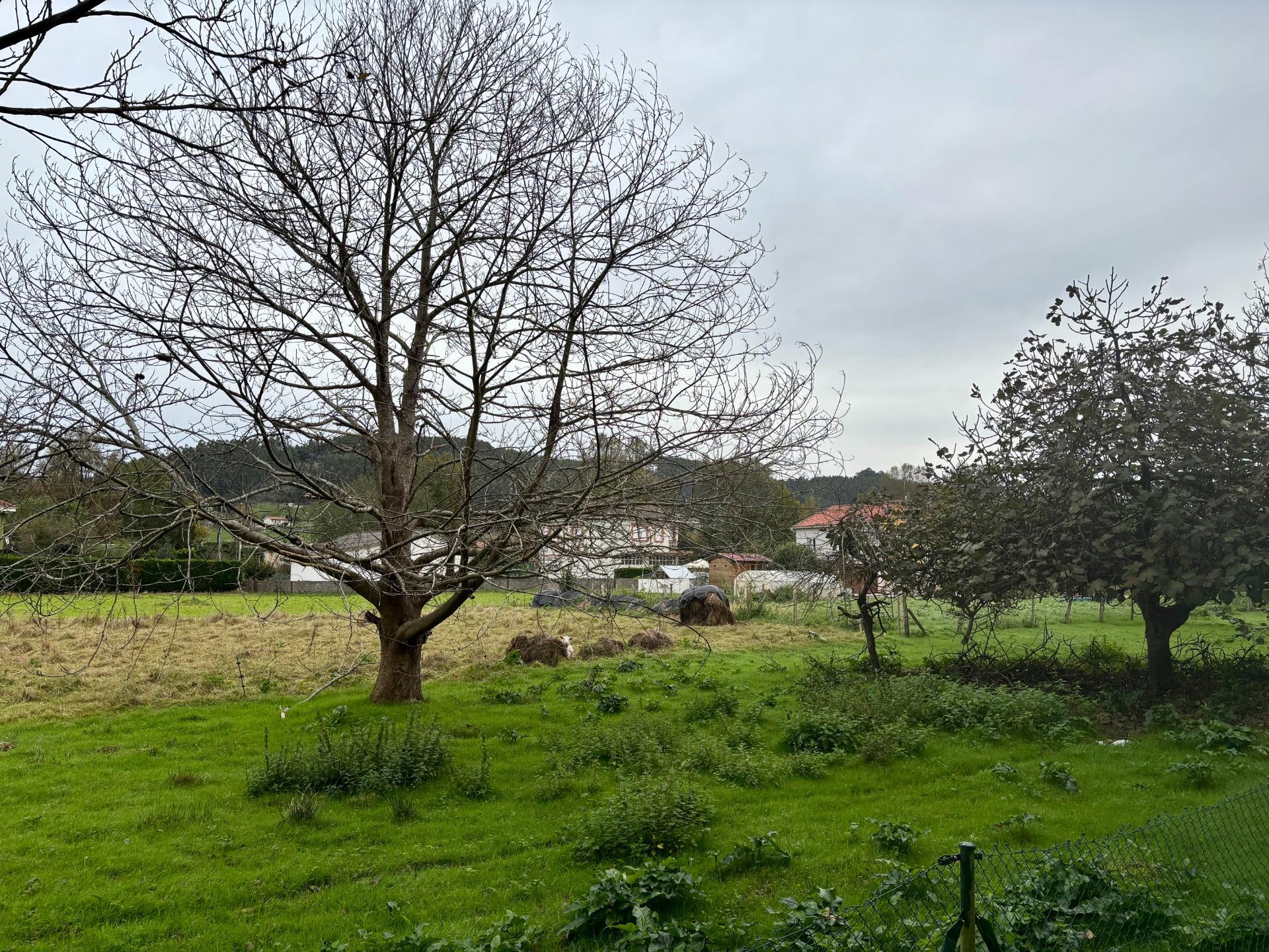 Pisos-Venta-PiÃ©lagos-2444431-Foto-28