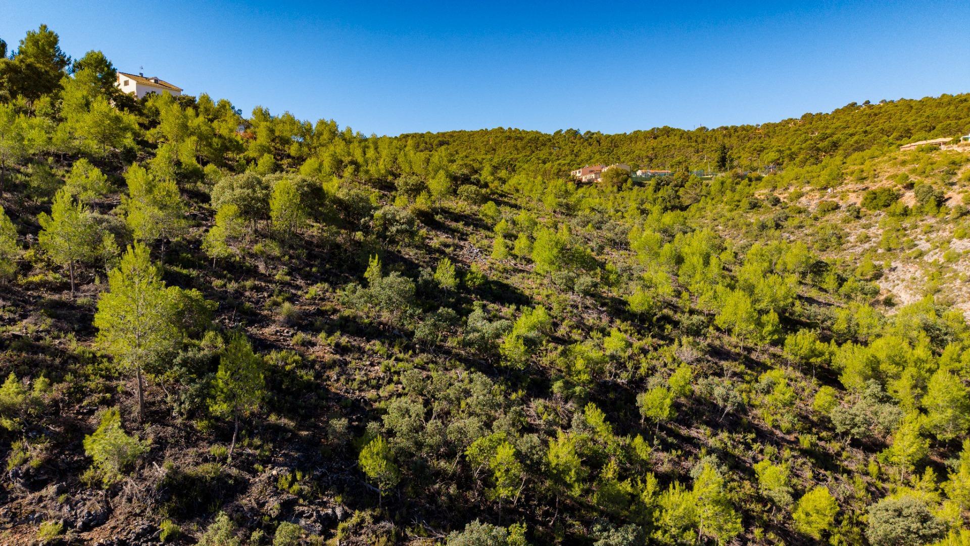 Fincas y solares-Venta-Albalate de Zorita-2443790-Foto-9