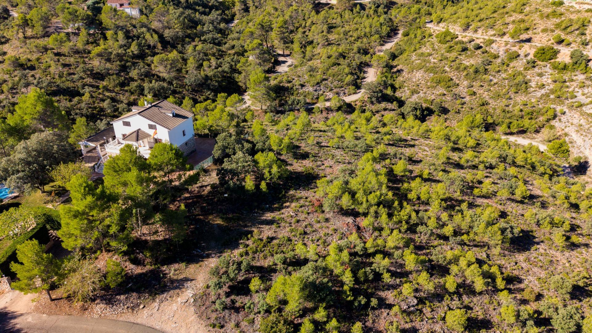 Fincas y solares-Venta-Albalate de Zorita-2443790-Foto-6