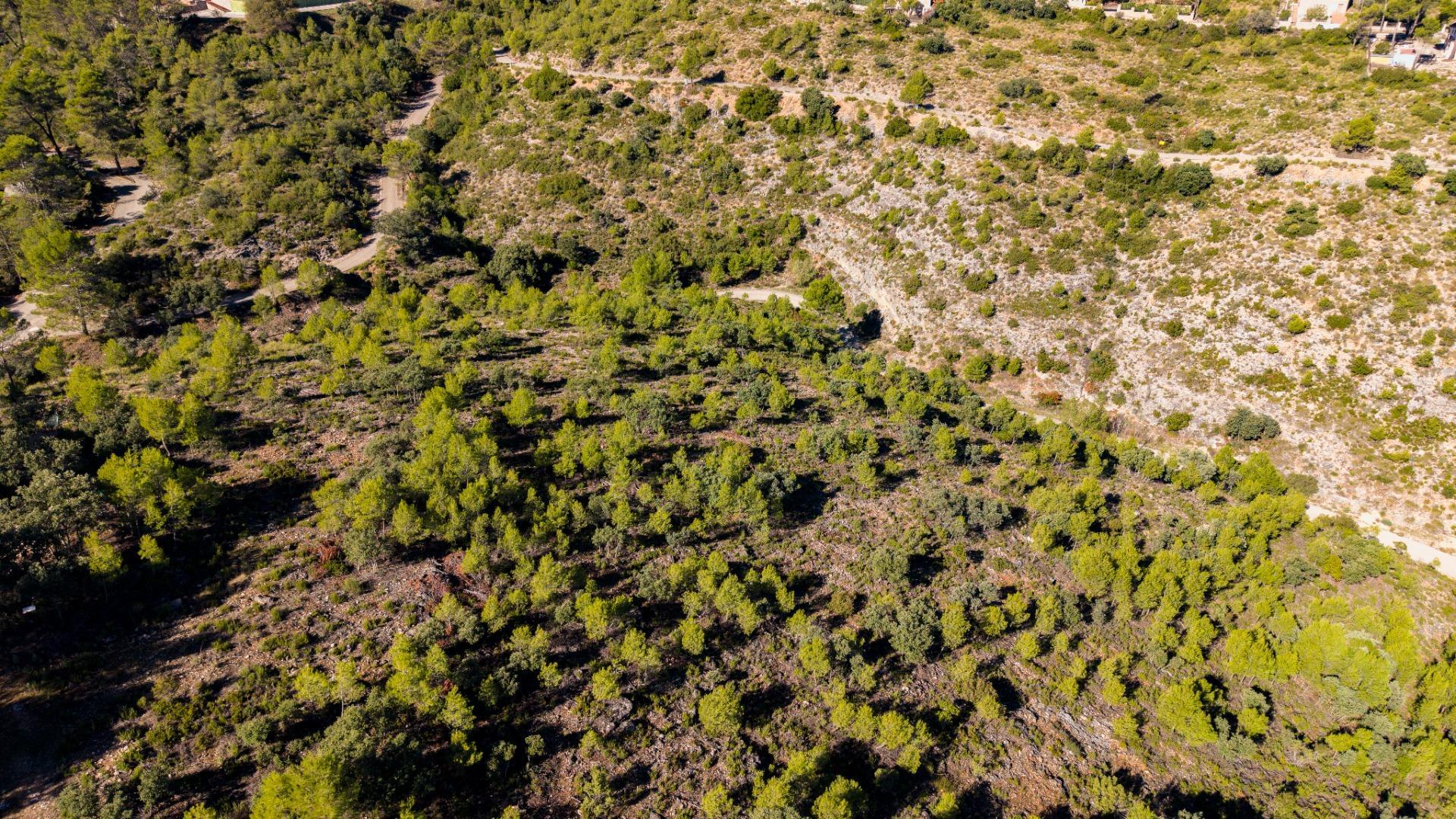 Fincas y solares-Venta-Albalate de Zorita-2443790-Foto-4