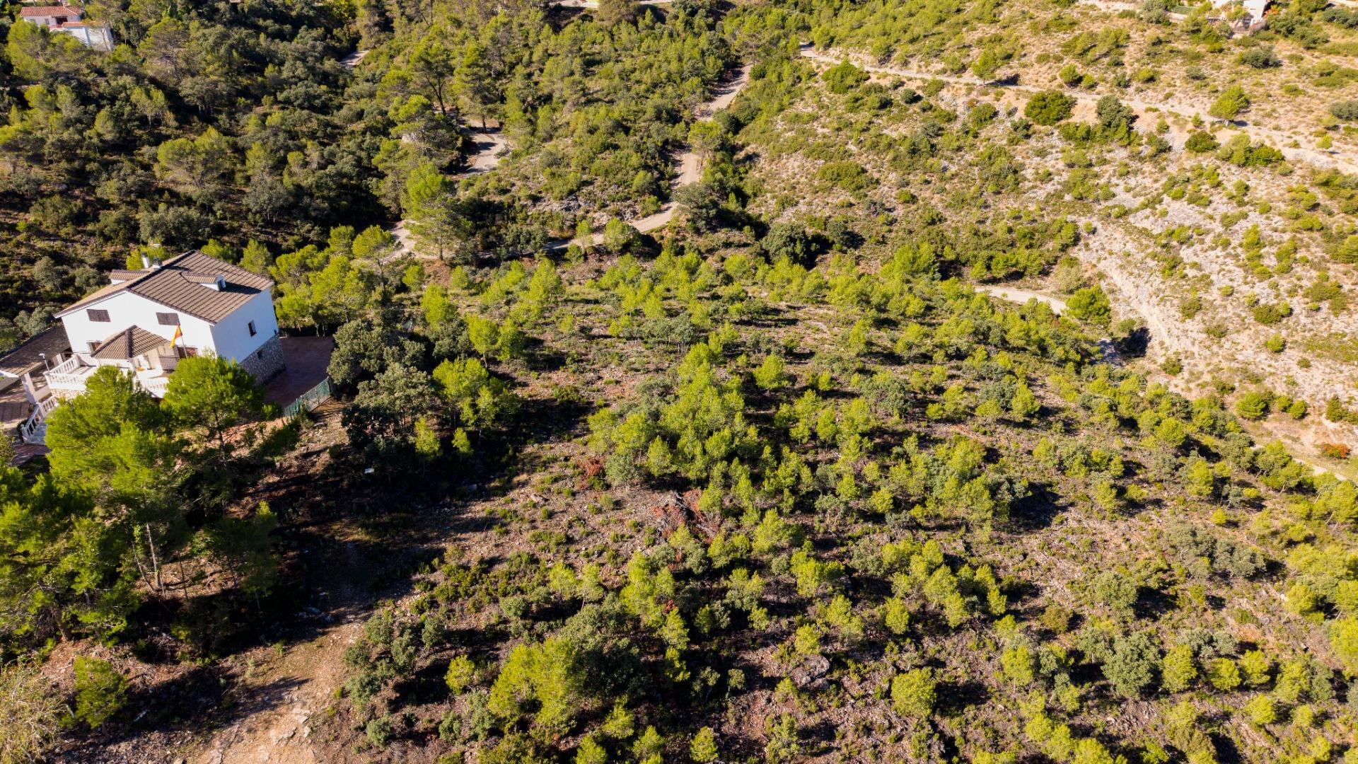 Fincas y solares-Venta-Albalate de Zorita-2443790-Foto-5