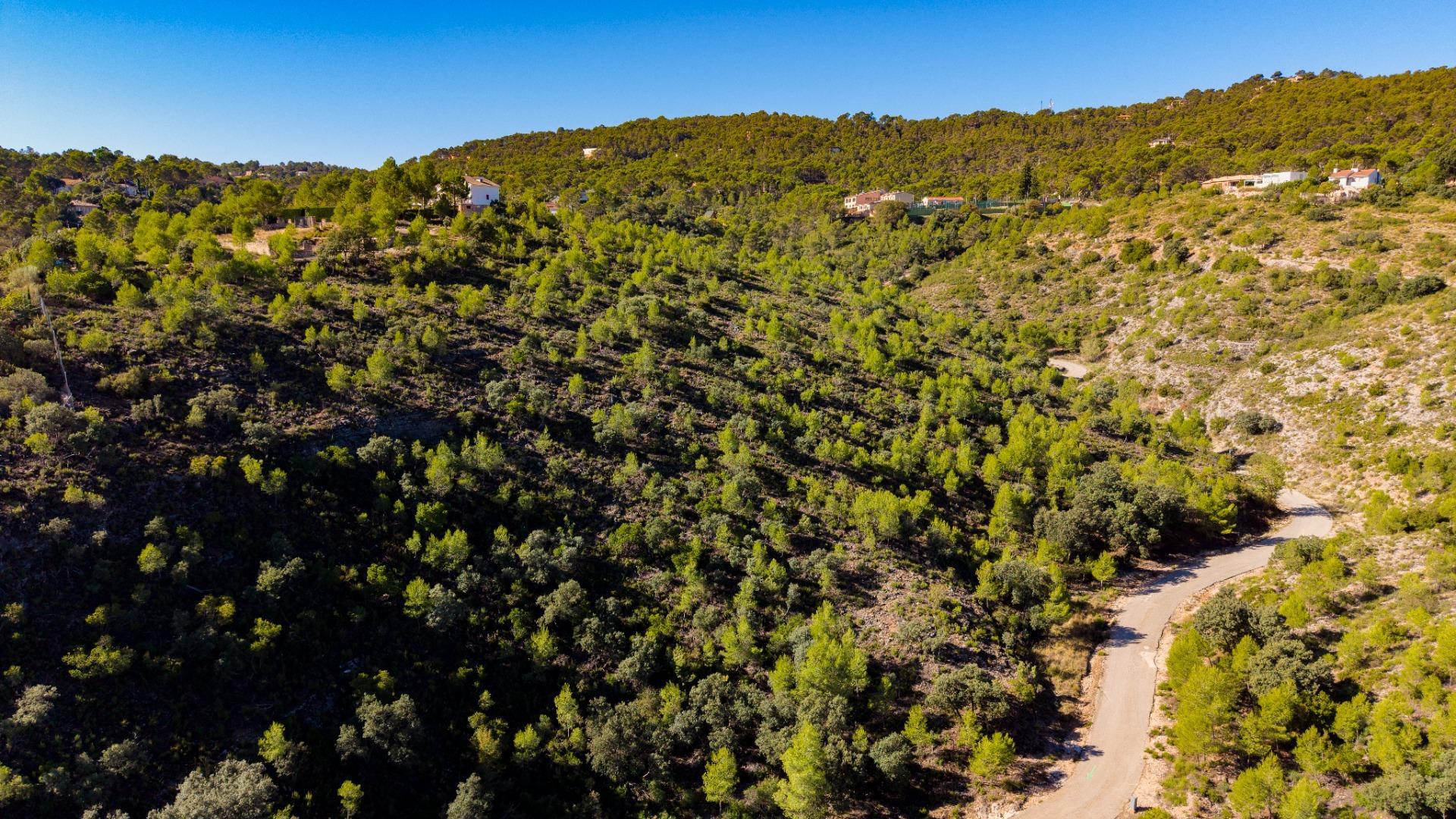 Fincas y solares-Venta-Albalate de Zorita-2443790-Foto-10