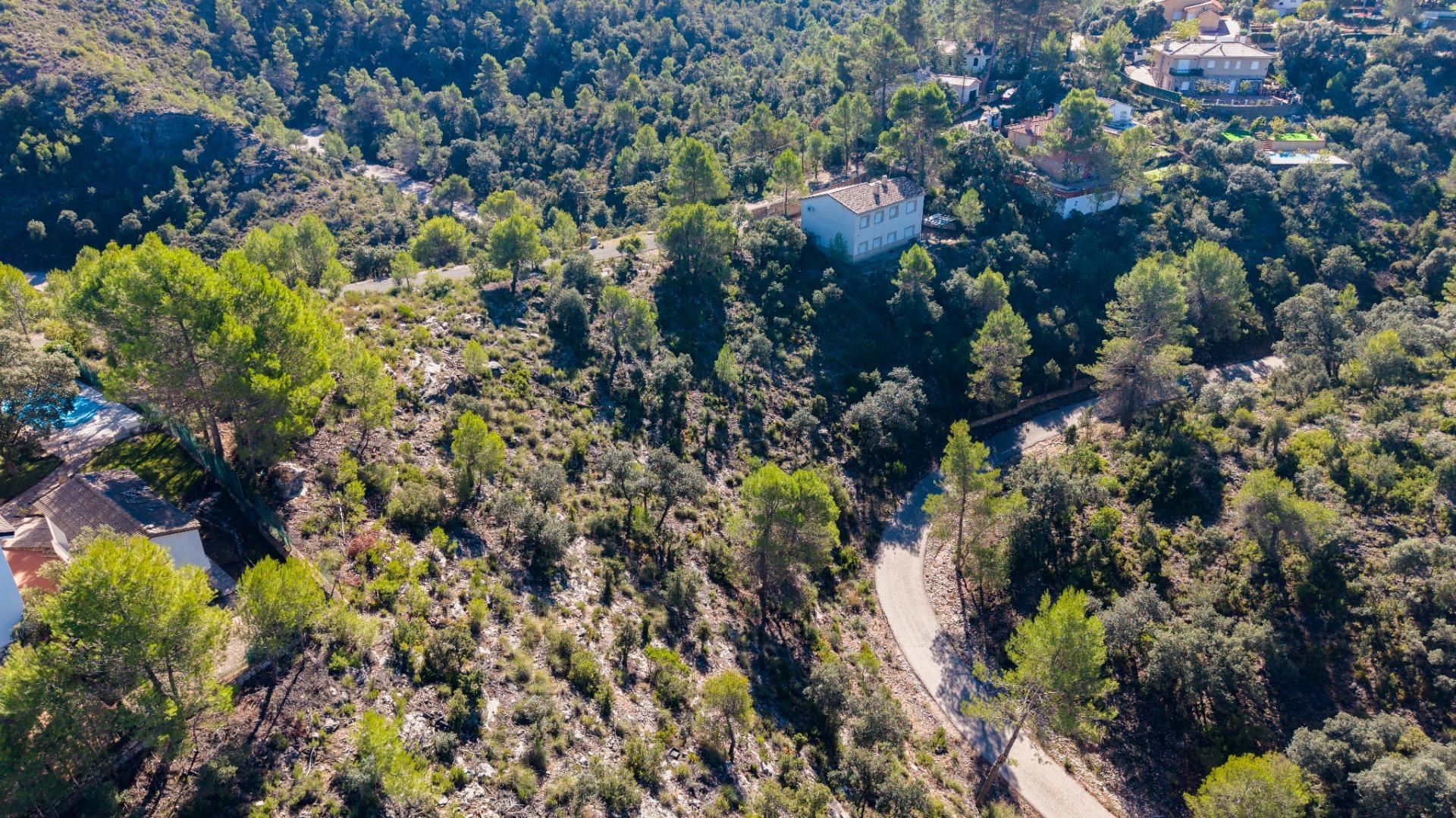 Fincas y solares-Venta-Albalate de Zorita-2443790-Foto-11