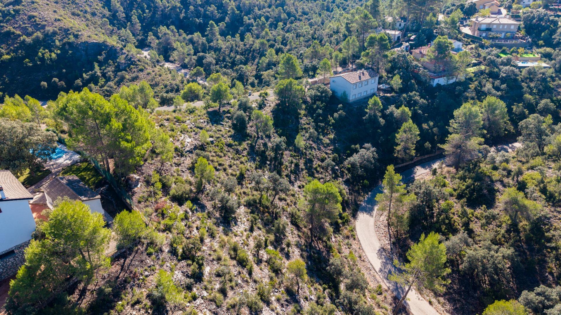 Fincas y solares-Venta-Albalate de Zorita-2443790-Foto-12