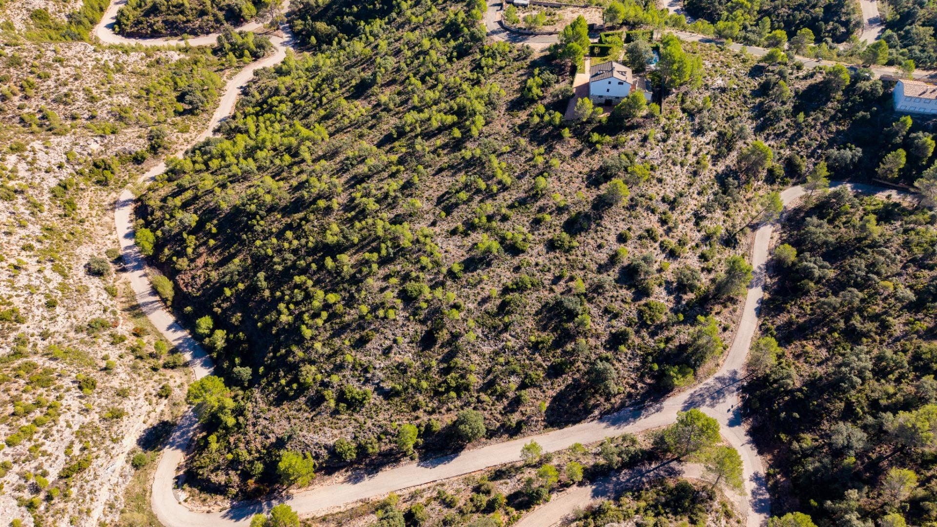 Fincas y solares-Venta-Albalate de Zorita-2443790-Foto-16