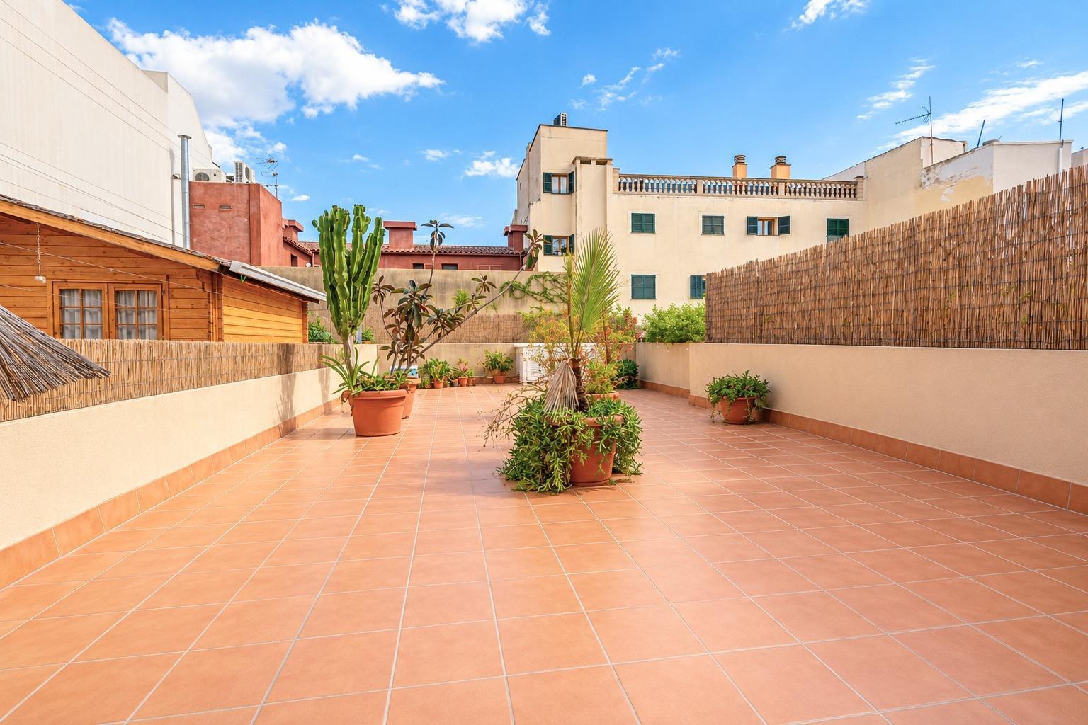 Oficinas-Venta-Palma de Mallorca-2444713-Foto-3