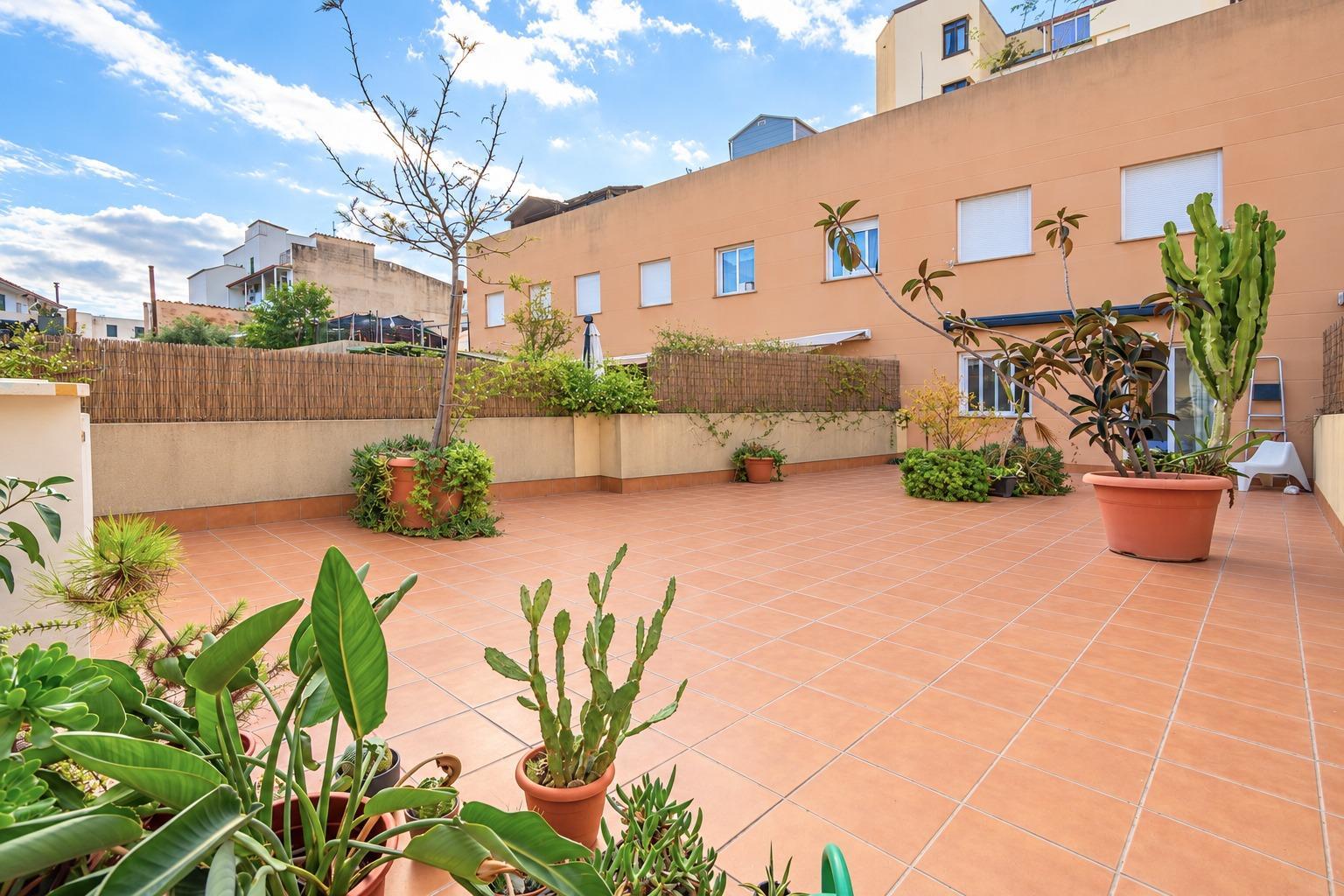 Oficinas-Venta-Palma de Mallorca-2444713-Foto-2