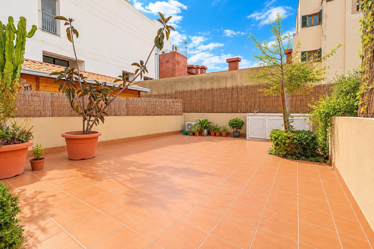 Oficinas-Venta-Palma de Mallorca-2444713-Foto-4