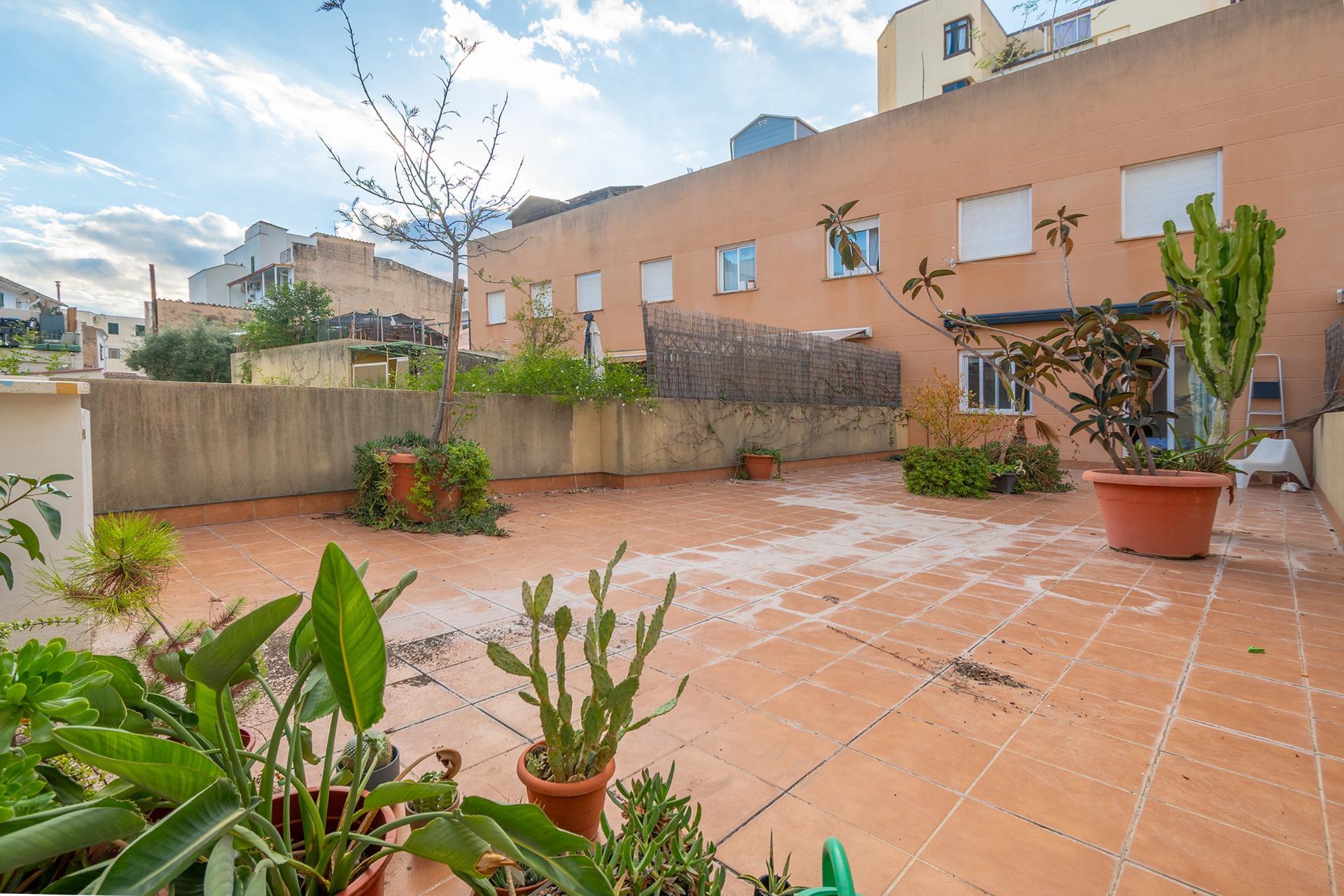 Oficinas-Venta-Palma de Mallorca-2444713-Foto-20