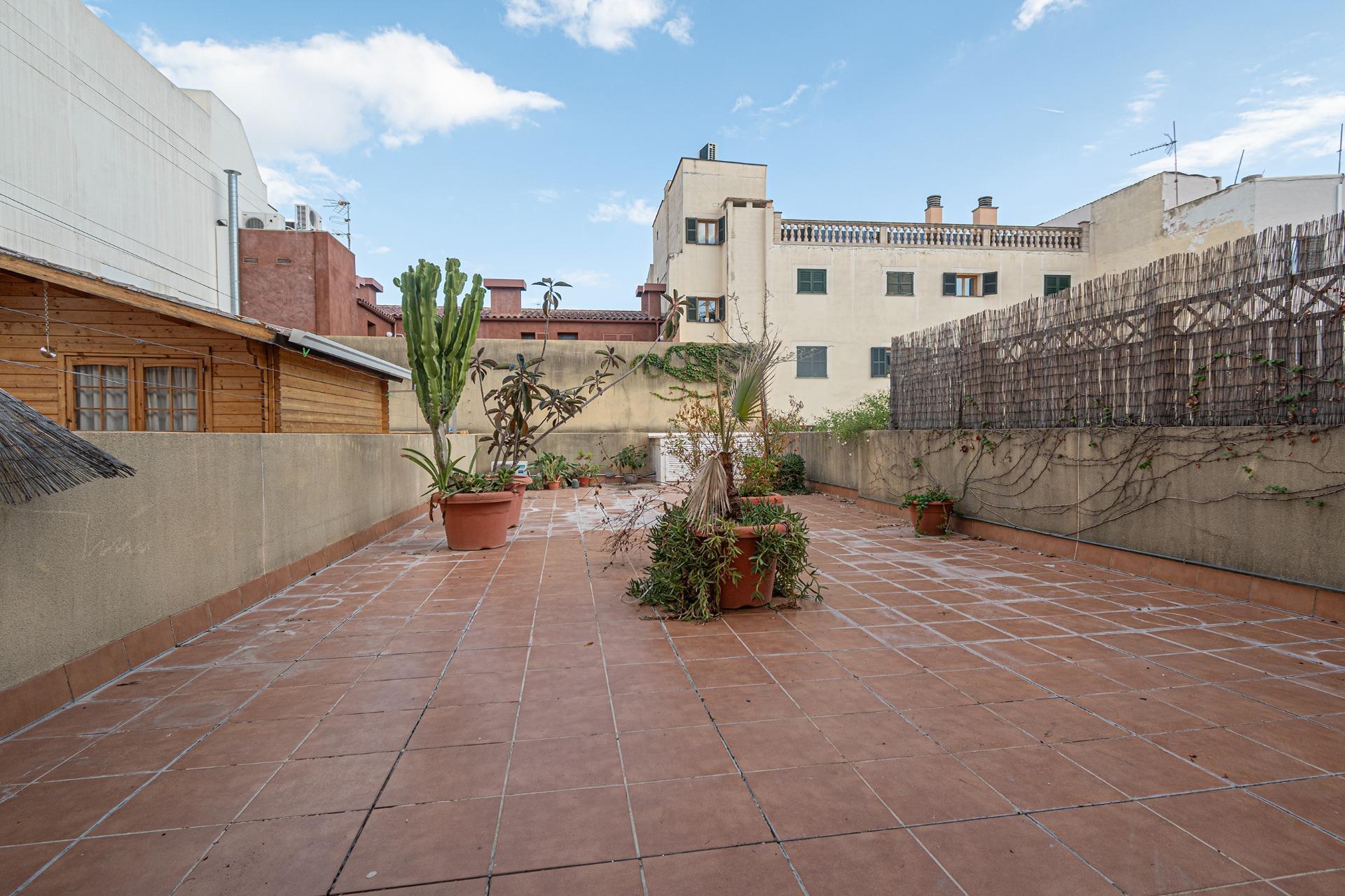 Oficinas-Venta-Palma de Mallorca-2444713-Foto-21