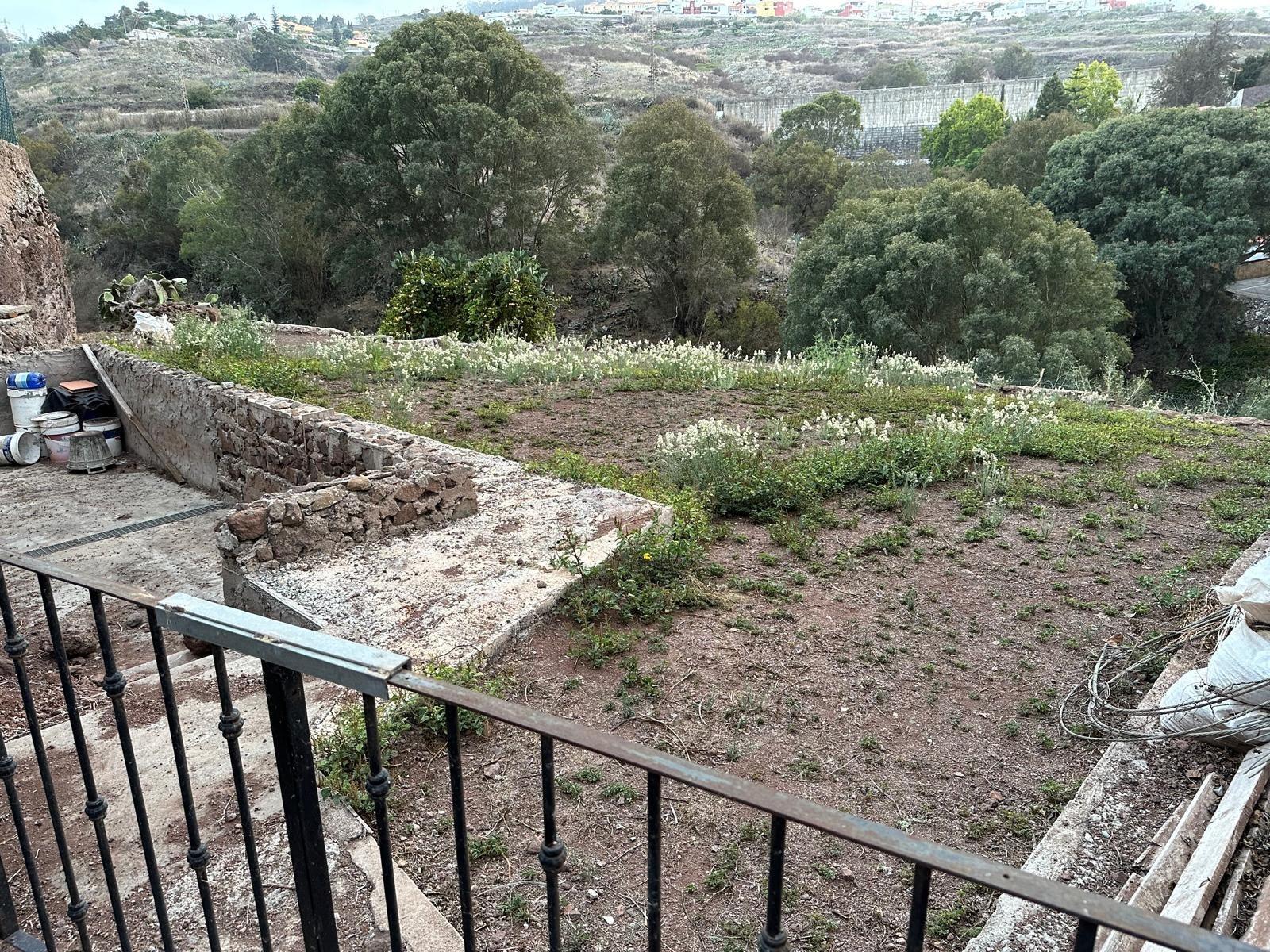 Fincas y solares-Venta-Firgas-2444719-Foto-9