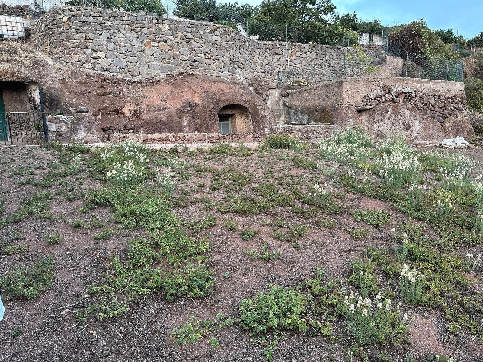 Fincas y solares-Venta-Firgas-2444719-Foto-8