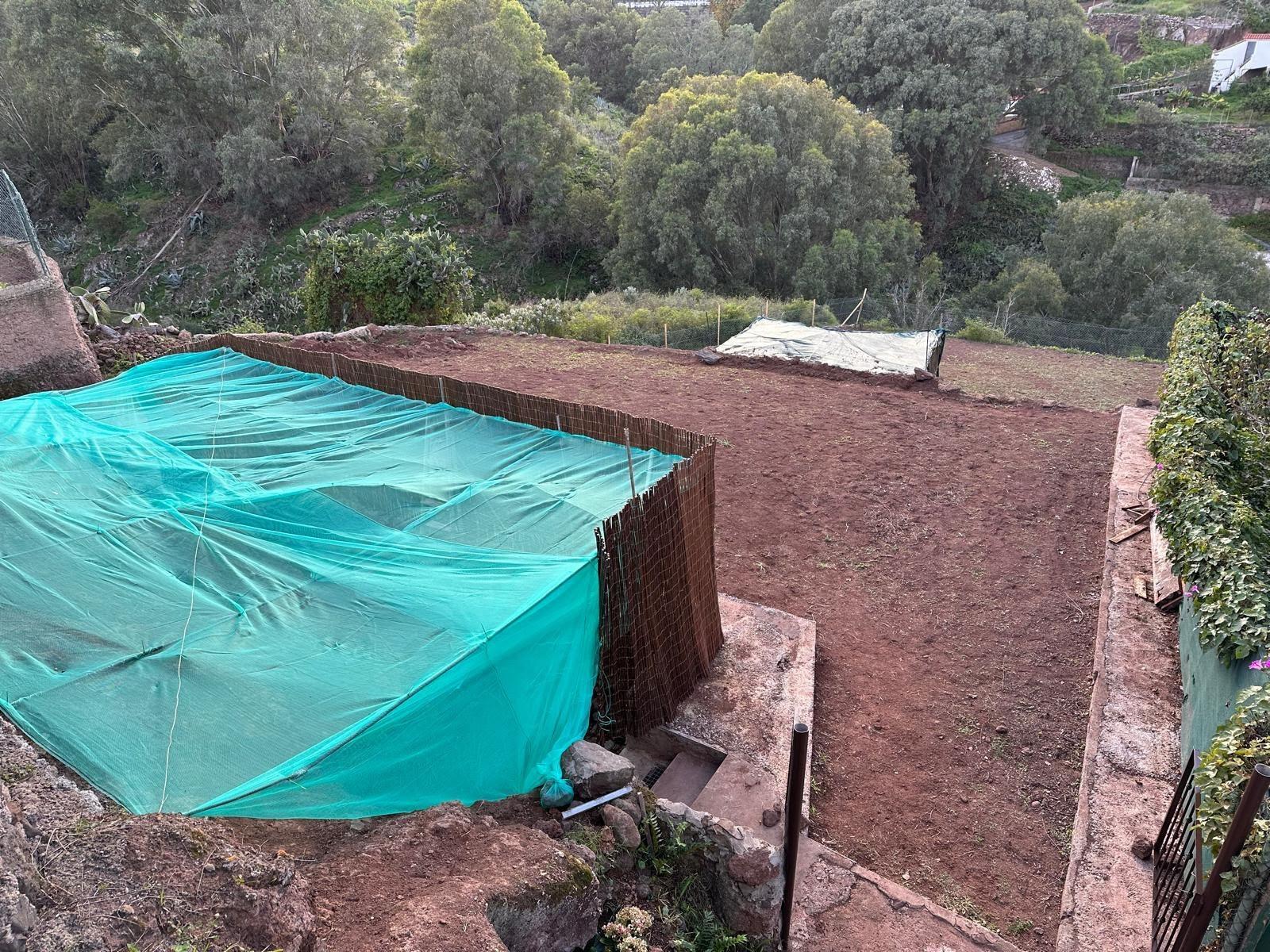 Fincas y solares-Venta-Firgas-2444719-Foto-13