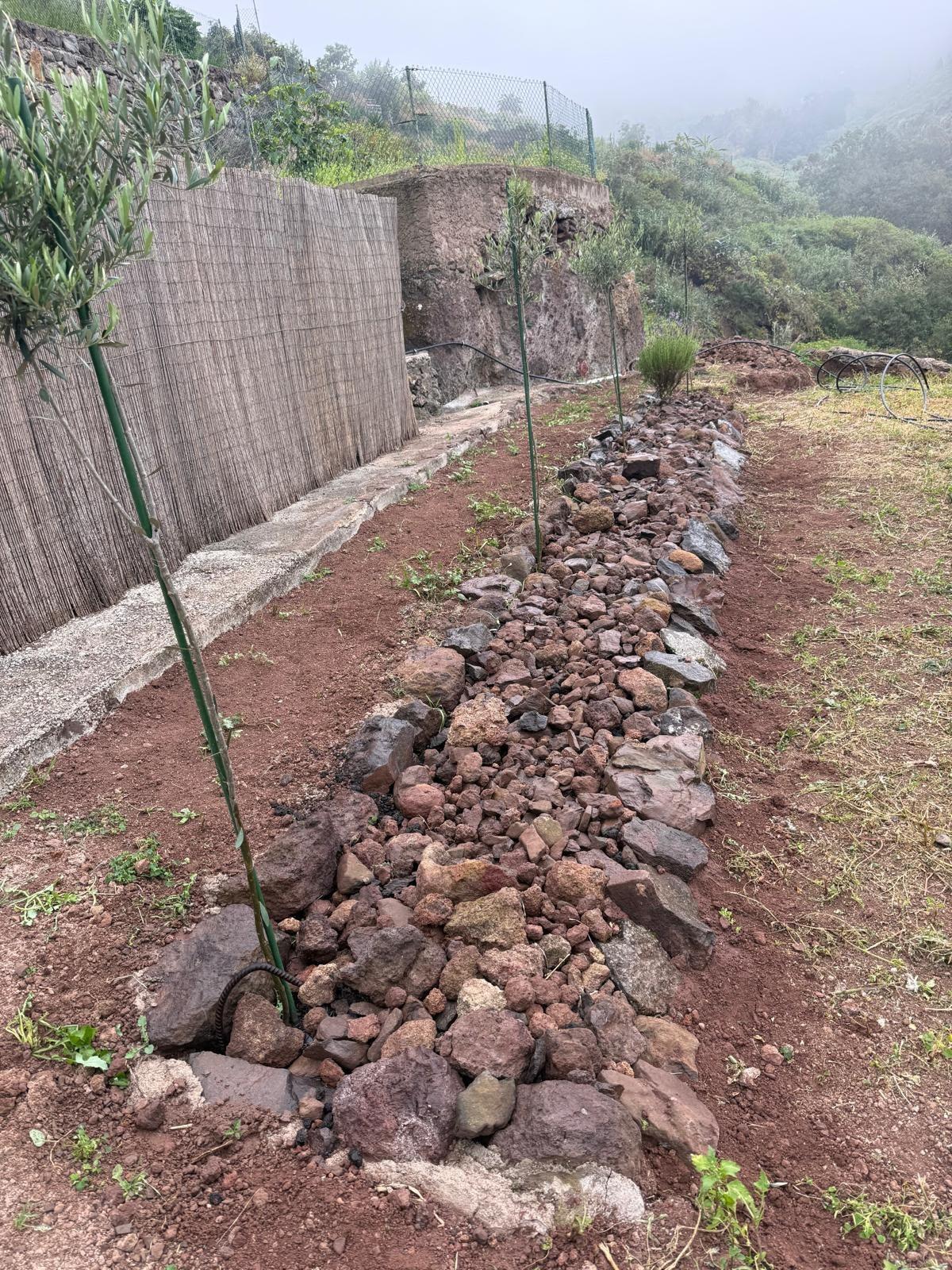 Fincas y solares-Venta-Firgas-2444719-Foto-30