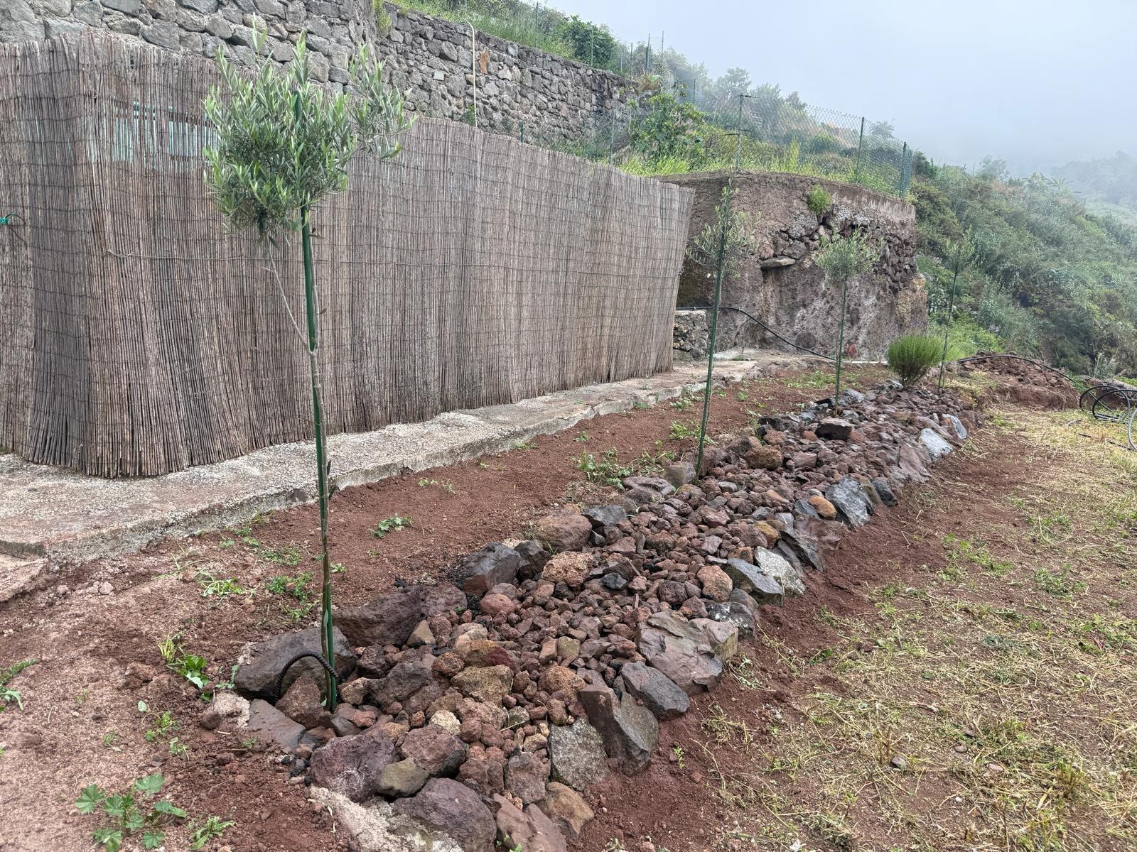 Fincas y solares-Venta-Firgas-2444719-Foto-26