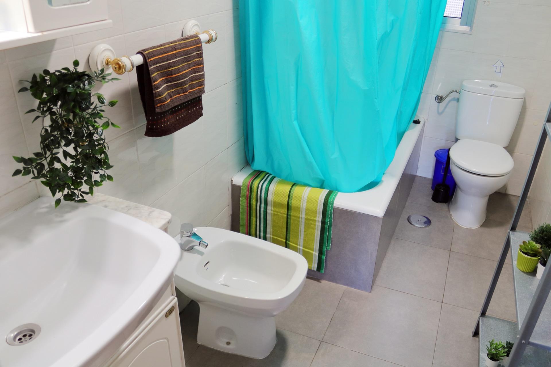 Pisos-Venta-Valladolid-2444745-Foto-15